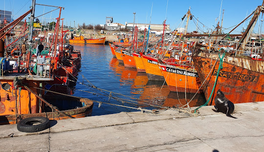 Mar del Plata